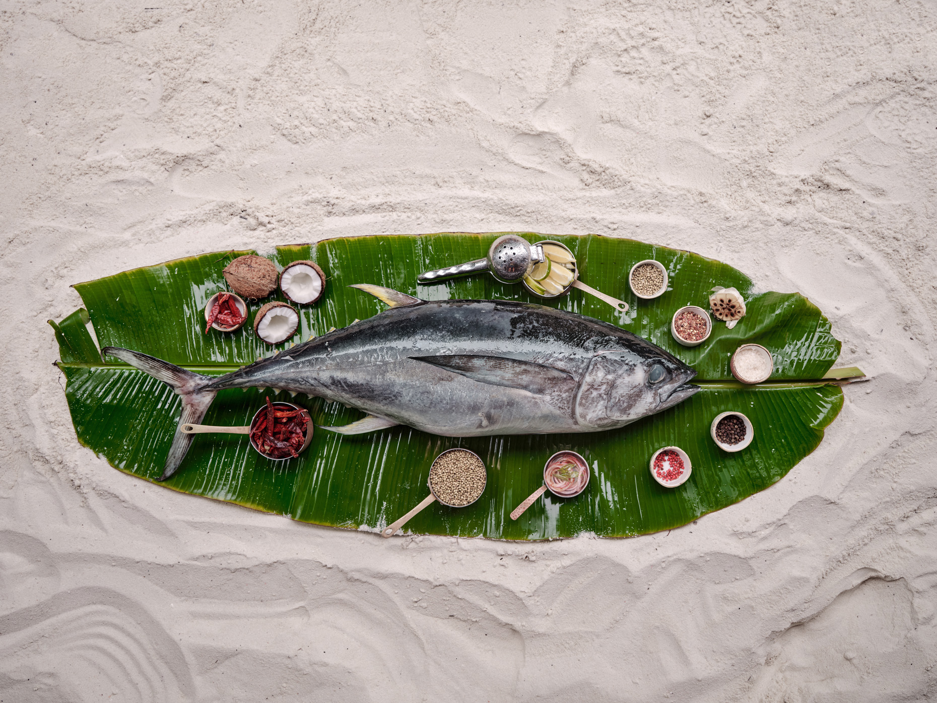 Ein Sea- und Seafood-Erlebnis